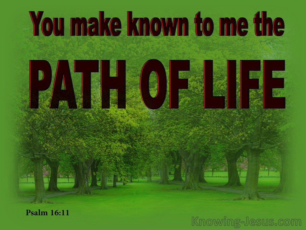 Psalm 16:11 You Make Known The Path Of Life (black)